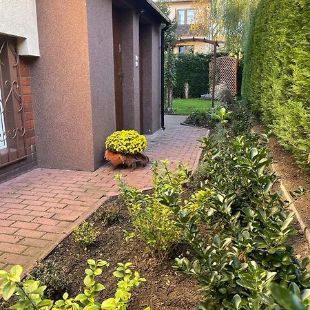 슈체친 Maly Apartament Z Kuchnia I Lazienka 아파트 외부 사진